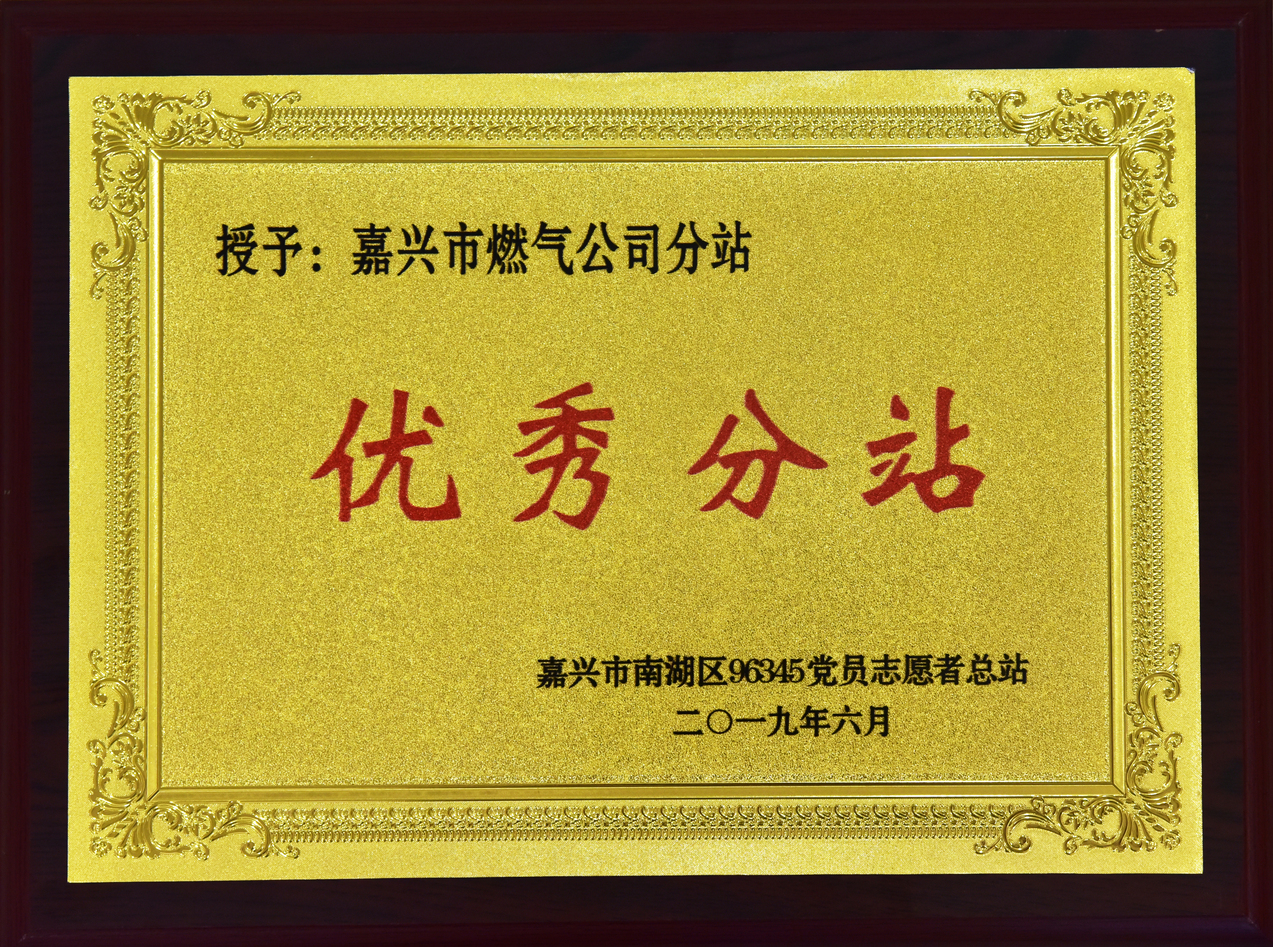 2019年6月，被嘉興市南湖區(qū)96345黨員志愿者總站授予”優(yōu)秀分站“榮譽(yù)稱號(hào)。.JPG